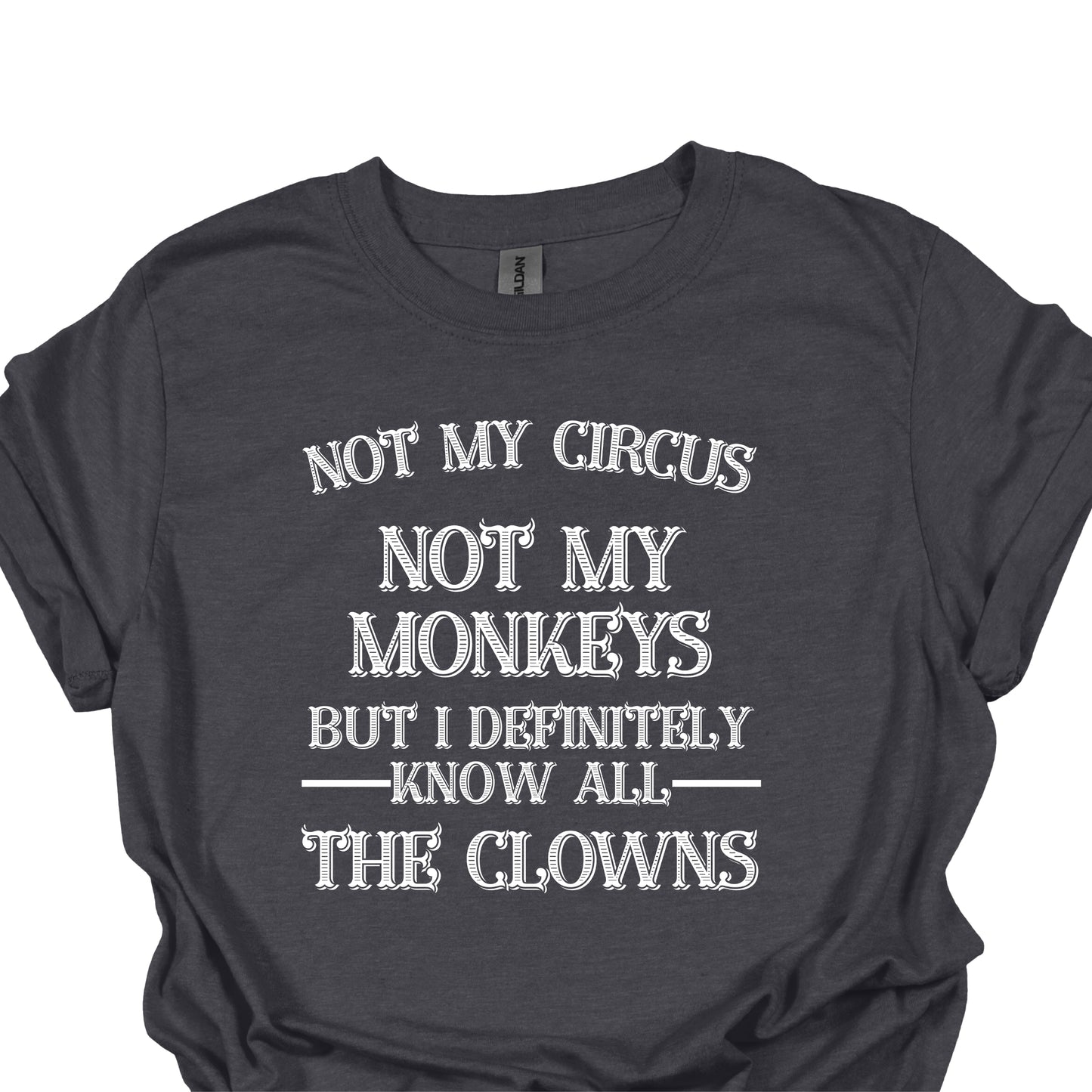 Not my Circus
